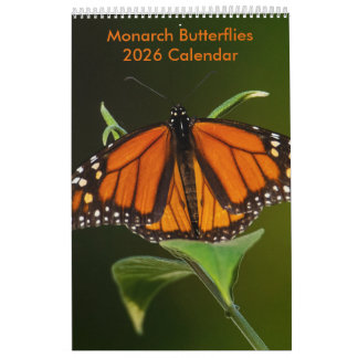 Monarch Butterflies One Page Calendar Kalender