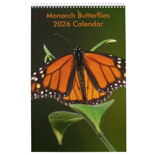Monarch Butterflies One Page Calendar Kalender (Hoes)