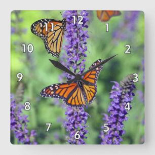 Monarch Butterflies op English Lavender Flowers Vierkante Klok