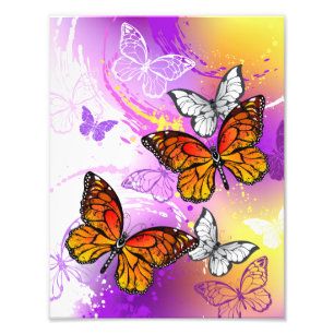 Monarch Butterflies op Paarse achtergrond Foto Afdruk