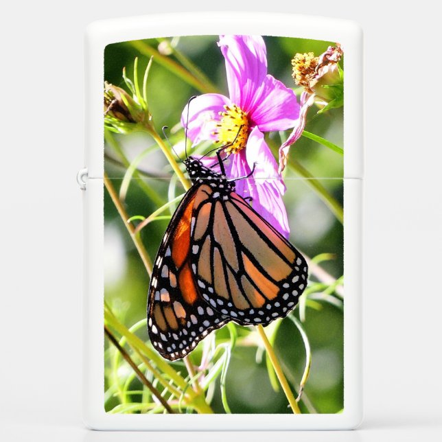 Monarch Butterfly (Voorkant)