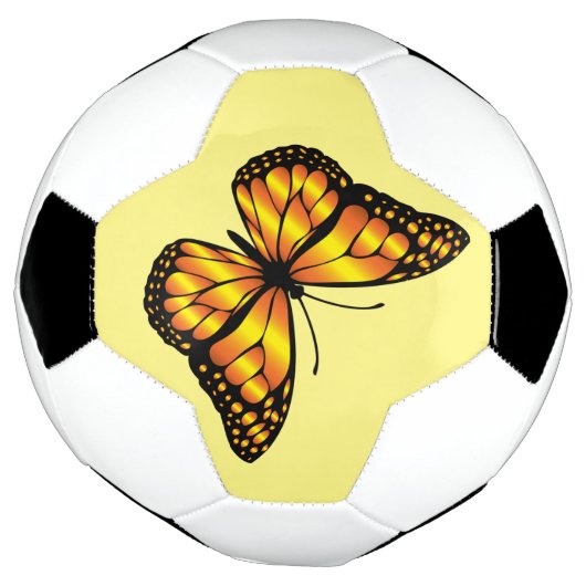 MONARCH BUTTERFLY (Tourné)