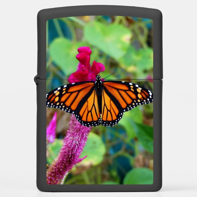 Monarch Butterfly (Voorkant)