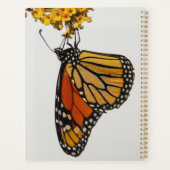 Monarch Butterfly 2026 Planner (Dos)