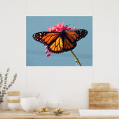 Monarch Butterfly 6066 Poster (Keuken)