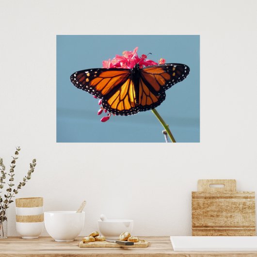 Monarch Butterfly 6066 Poster (Keuken)