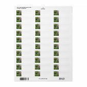 Monarch Butterfly adresetiketten Etiket (Full Sheet)