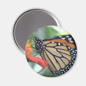 Monarch Butterfly Afbeelding Magneet (Voorkant / Achterkant)