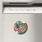 Monarch Butterfly Afbeelding Magneet (Insitu (Vaatwasser))