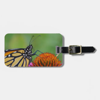 Monarch Butterfly Bagagelabel