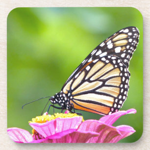 Monarch Butterfly Bier Onderzetter