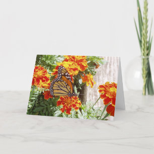 "Monarch Butterfly" - Bonne carte #1