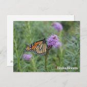Monarch Butterfly Briefkaart (Voorkant / Achterkant)