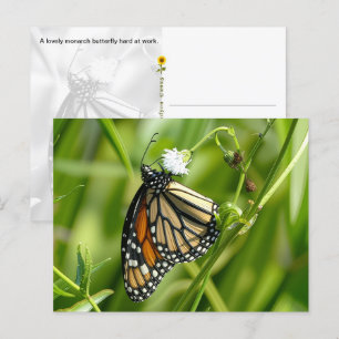 Monarch Butterfly - briefkaart
