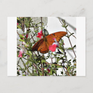 Monarch Butterfly Briefkaart