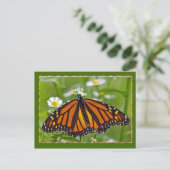 Monarch Butterfly Briefkaart (Staand voorkant)