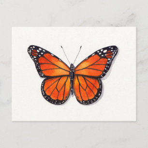 Monarch Butterfly Briefkaart