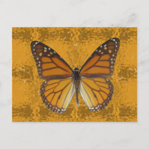 Monarch Butterfly Briefkaart