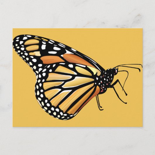 Monarch Butterfly Briefkaart (Voorkant)