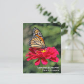Monarch Butterfly Briefkaart (Staand voorkant)