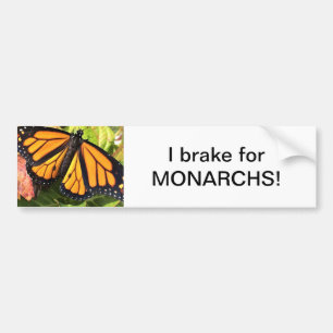 Monarch Butterfly - Bumpersticker