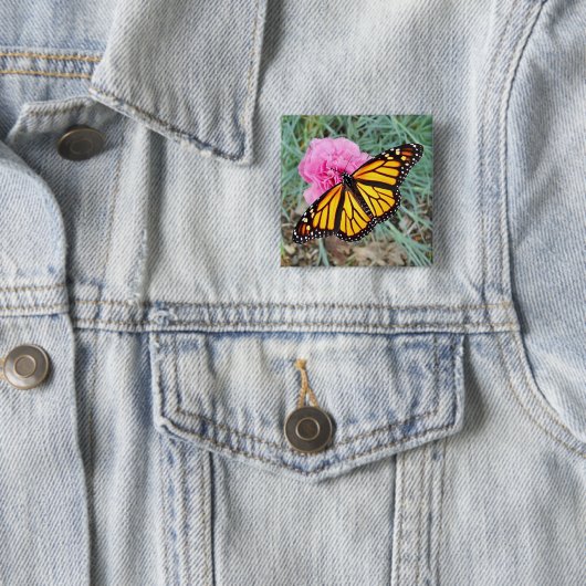 Monarch Butterfly Button (In situ)