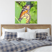 Monarch Butterfly — Canvas (Insitu (Slaapkamer))