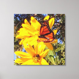 Monarch Butterfly — Canvas Afdruk