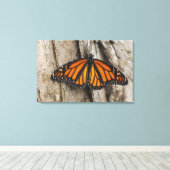 Monarch Butterfly Canvas Afdruk (Insitu (Houten vloer))