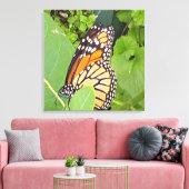 Monarch Butterfly — Canvas Afdruk (Insitu (Woonkamer))