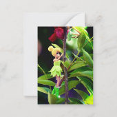 Monarch Butterfly cartes pour notes (Devant)