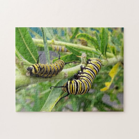 Monarch Butterfly Caterstyle Insect Legpuzzel (Horizontaal)