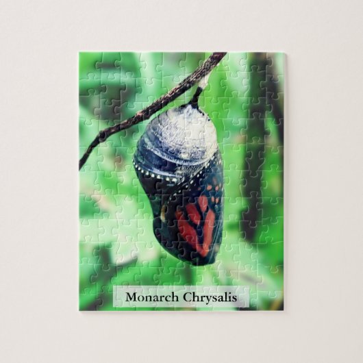 Monarch Butterfly Chrysalis Before Hatching 110Pcs Legpuzzel (Verticaal)