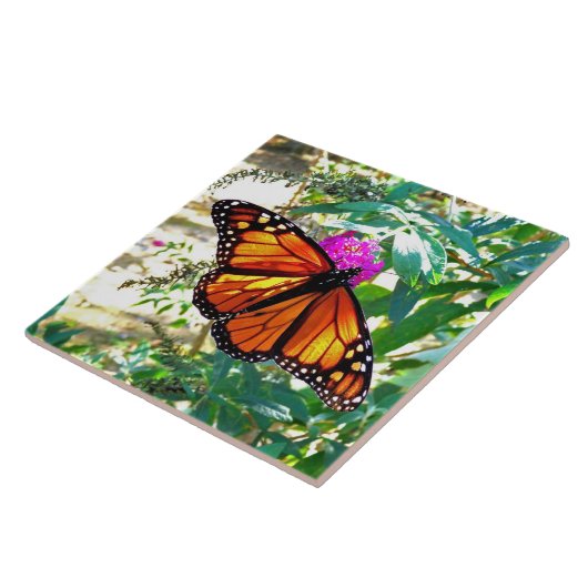 Monarch Butterfly Decoratief Keramisch Tile Tegeltje (Zijkant)