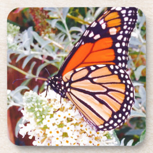 Monarch Butterfly Drankjes Onderzetter