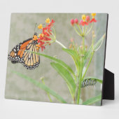 Monarch Butterfly en Caterstyle Fotoplaat (Zijkant)