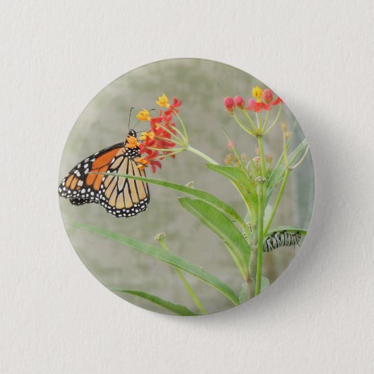 Monarch Butterfly en Caterstyle Ronde Button 5,7 Cm (Voorkant)