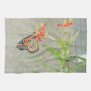 Monarch Butterfly en Caterstyle Theedoek