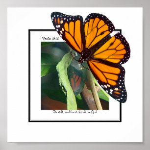 Monarch Butterfly en Chrysalis Art Poster