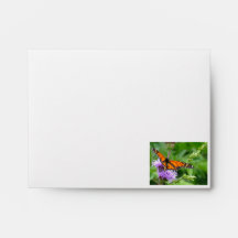 Monarch Butterfly Envelope