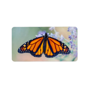 Monarch Butterfly Etiket