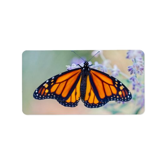 Monarch Butterfly Etiket (Voorkant)