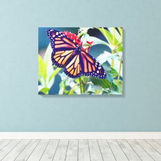 Monarch Butterfly Fotografie Muurdecoratie Canvas