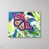 Monarch Butterfly Fotografie Muurdecoratie Canvas Afdruk (Voorkant)