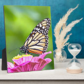 Monarch Butterfly Fotoplaat (Zijkant)