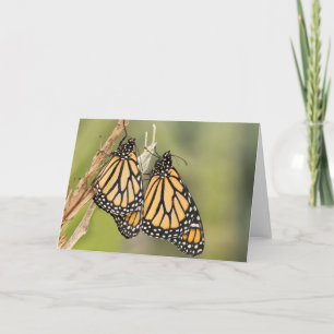 Monarch Butterfly Friends Wenskaarten Kaart