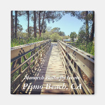 Monarch Butterfly Grove: Pismo Beach, Californië