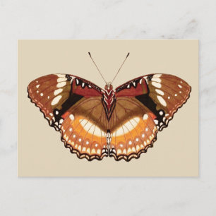 Monarch Butterfly in Brown, Rust and Cream Briefkaart