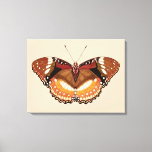 Monarch Butterfly in Brown, Rust and Cream Canvas Afdruk