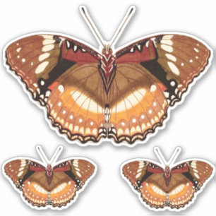 Monarch Butterfly in Brown, Rust and Cream Sticker